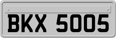 BKX5005