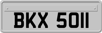 BKX5011