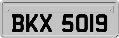BKX5019