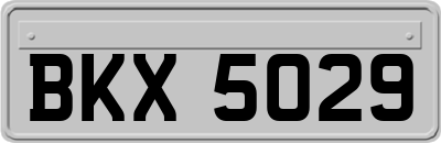 BKX5029