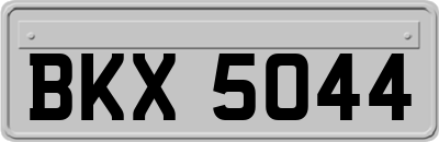 BKX5044