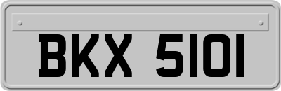 BKX5101
