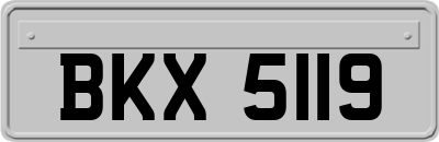 BKX5119