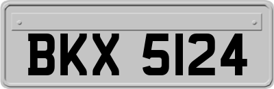 BKX5124