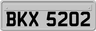 BKX5202