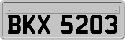 BKX5203