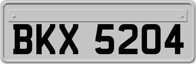 BKX5204