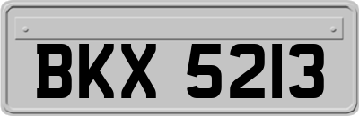 BKX5213