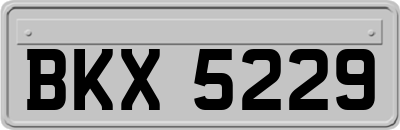 BKX5229