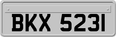 BKX5231