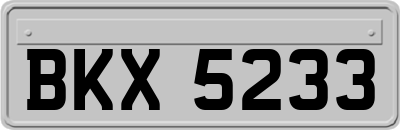 BKX5233