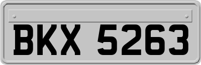 BKX5263