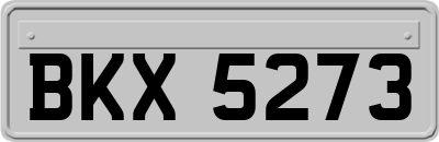 BKX5273