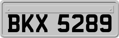 BKX5289