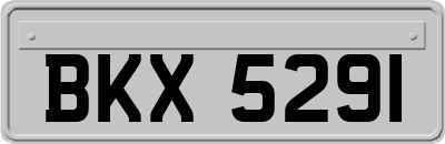 BKX5291