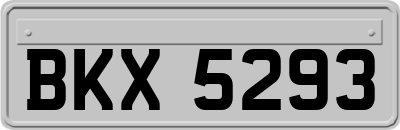 BKX5293