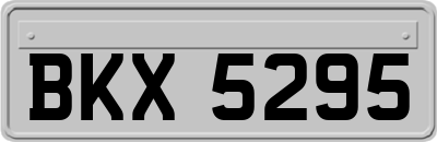 BKX5295