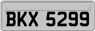 BKX5299