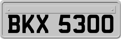 BKX5300