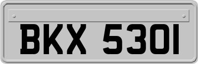 BKX5301