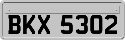 BKX5302