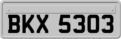BKX5303