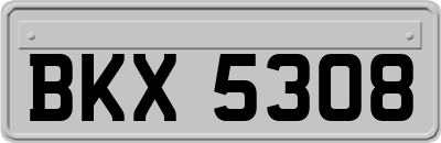 BKX5308