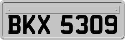 BKX5309
