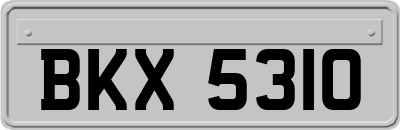BKX5310