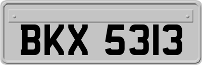 BKX5313