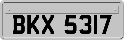 BKX5317