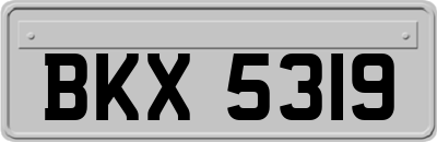 BKX5319