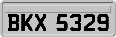 BKX5329