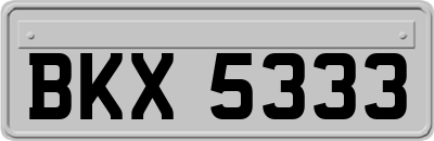 BKX5333