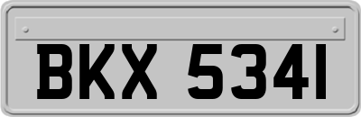 BKX5341