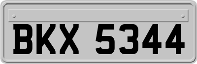 BKX5344