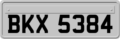 BKX5384
