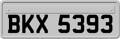 BKX5393