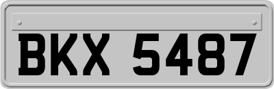 BKX5487