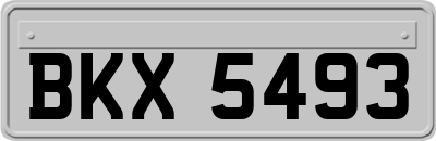 BKX5493