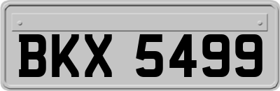 BKX5499