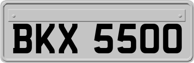 BKX5500
