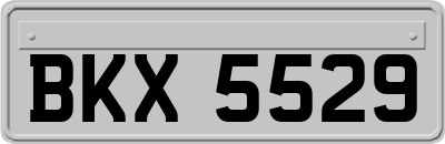 BKX5529