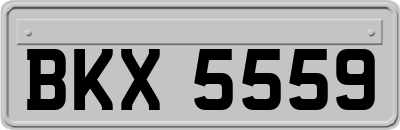 BKX5559