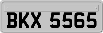 BKX5565