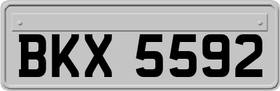 BKX5592