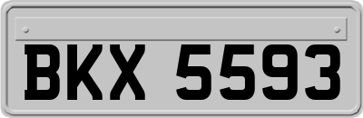 BKX5593
