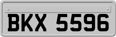 BKX5596