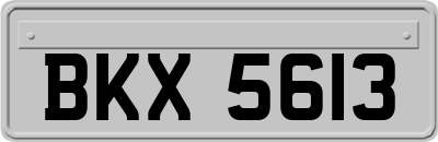 BKX5613