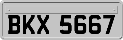 BKX5667